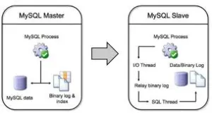 MySQL 5.6 – Parallel Coworker